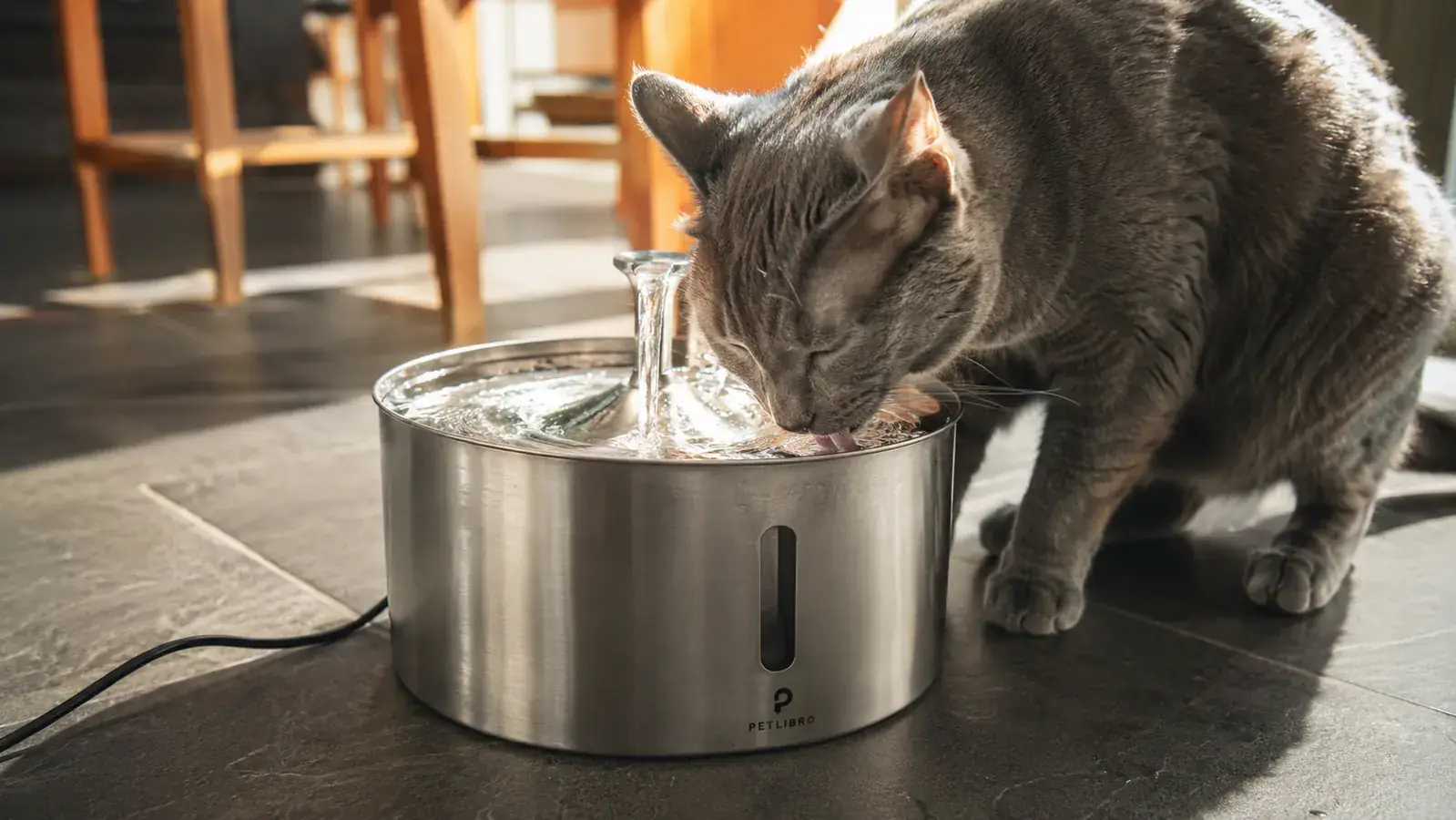 ORSDA stainless steel cat water fountain on a hardwood kitchen floor with a tabby cat drinking from the stream